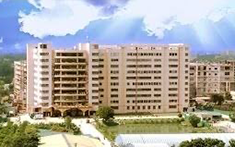 Hameen Group